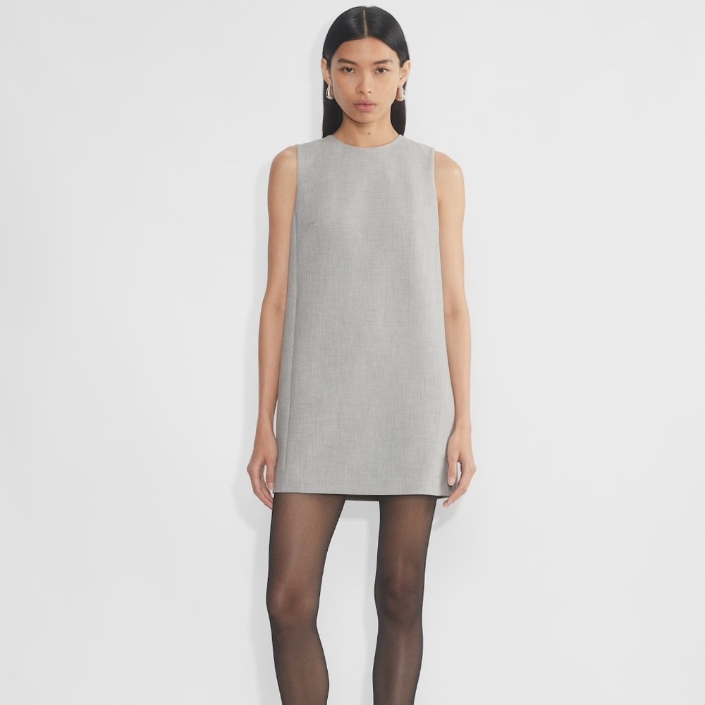 Aritzia Babaton Dress
